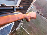 Winchester Model 70 Varmint Vintage 1966 Pretty Nearly As New 225 Winchester - 10 of 14