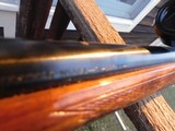 Winchester Model 70 Varmint Vintage 1966 Pretty Nearly As New 225 Winchester - 13 of 14