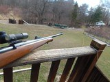 Remington Model 7 6mm Rem With Walnut Stock and Schnable Forend Hard To Find In 6mm - 7 of 9