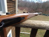 Remington Model 7 6mm Rem With Walnut Stock and Schnable Forend Hard To Find In 6mm - 9 of 9