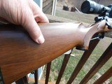 Remington Model 7 6mm Rem With Walnut Stock and Schnable Forend Hard To Find In 6mm - 8 of 9