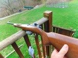 CZ 527 M Carbine 223 As New No Longer Made Great Little Rifle - 3 of 6