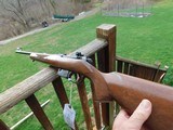 CZ 527 M Carbine 223 As New No Longer Made Great Little Rifle - 6 of 6