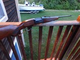 Savage 99 F. (Featherweight) 1957 Beauty 300 Savage Classic North Woods Beauty - 5 of 14