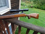 Remington 700 BDL VS (Varmint) Vintage Beauty 243. May1970 Handsome Heavy Barrel Long Range Varmint or Deer Rifle - 13 of 14