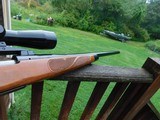 Remington 700 BDL VS (Varmint) Vintage Beauty 243. May1970 Handsome Heavy Barrel Long Range Varmint or Deer Rifle - 3 of 14