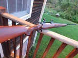 Winchester Model 70 Featherweight XTR 243 Beauty