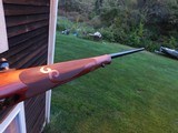 Winchester Model 70 Featherweight XTR 243 Beauty - 13 of 19