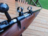 Winchester Model 70 Featherweight XTR 243 Beauty - 19 of 19