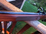 Winchester Model 70 Featherweight XTR 243 Beauty - 12 of 19