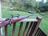 Winchester Model 70 Featherweight XTR 243 Beauty - 11 of 19