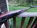 Winchester Model 70 Featherweight XTR 243 Beauty - 14 of 19