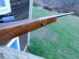 Weatherby Varmintmaster 22-250 Mini Mark V Action Stunning Beauty Bargain Priced - 10 of 12