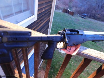 GA Precision Templar V11
Cal 260 Rem