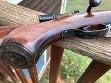 Winchester Model 75 Sporting (Deluxe) 1946 Exceptional Condition - 5 of 15