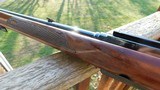 Winchester Model 100 .308 1966 Nice looking gun, Excellent ConditionSemi Auto Deer Rifle - 4 of 17