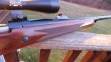 Winchester Model 70 Safari Express 458 Excellent Condition Bargain Price - 8 of 13