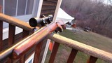 Winchester Model 70 Safari Express 458 Excellent Condition Bargain Price - 3 of 13