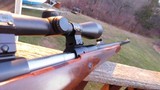 Winchester Model 70 Safari Express 458 Excellent Condition Bargain Price - 4 of 13