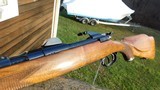 Mannlicher MCA Full Stock 243 Carbine As New Beauty - 6 of 20