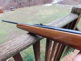 Remington 581 Bolt Action 22 Full Sized Mans Gun As New Quality and Substantial Bolt Action 22 Rifle - 7 of 8