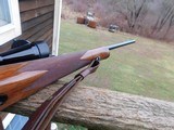 Remington Model 7 243 As New 1990 Beauty With Scope Walnut Stock With Schnable Forend - 11 of 11