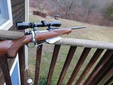Ruger 77 Compact260 Remington Near New Hard To Find Beauty Terrific Starter Rifle For New or Young Hunter - 8 of 14
