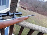 Ruger 77 Compact260 Remington Near New Hard To Find Beauty Terrific Starter Rifle For New or Young Hunter - 3 of 14