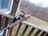 Ruger 77 Compact260 Remington Near New Hard To Find Beauty Terrific Starter Rifle For New or Young Hunter - 11 of 14