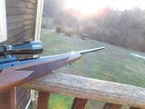 Winchester Model 70 XTR (means extra finish at the factory) 300 Weatherby Mag Approx 100 % ConditionBargain !!!!! - 6 of 14