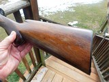 Browning 16 ga Belgian Vintage Auto 5 Solid Rib Unmodified Very Good Condition Bargain Price - 6 of 20