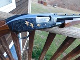 Browning Model 12 Grade V 20 ga Magnificent Fully Engraved Gold Ducks, Setter and Flying Partridge Spectacularly Striking Wood - 4 of 19