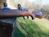 Harrington & Richardson 301 Mannlicher 243 Carbine Factory FN Action High Quality Rifle BARGAIN PRICE - 14 of 19