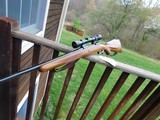 FN Identical but a little nicer than a Browning Safari This Rifle Is Just Plain Stunning !!!!!! - 18 of 19