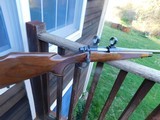 Remington 700 BDL VS 1990
Heavy Barrel Deluxe Varmint Approx As New Stunning Beauty - 9 of 16