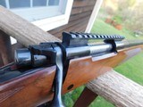 Winchester Model 70 Varmint Rifle 1976 243 Not Often Found Near New Cond - 4 of 11