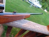 Savage 99c 243 Beauty 1973 Near New Ready For The Deer Woods - 9 of 14