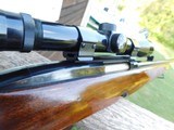 Winchester Model 88 1955 First Year Production
.308 Zero pitting or loss of blue Handsome Dark American Walnut Factory Stock - 5 of 16