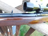 Winchester Model 88 1955 First Year Production
.308 Zero pitting or loss of blue Handsome Dark American Walnut Factory Stock - 4 of 16