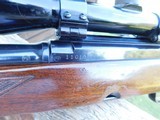 Winchester Model 88 1955 First Year Production
.308 Zero pitting or loss of blue Handsome Dark American Walnut Factory Stock - 7 of 16