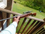 Winchester Model 43 218 Bee Poor Man's Model 70 Beauty, Bargain Price! - 7 of 10