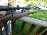 Winchester Model 70 Coyote 308 As New In Box With Papers and Scope Stainless With Wood Stock - 1 of 11