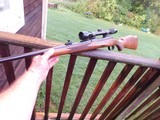 Winchester 670 243 (like model 70 but with blind mag and no detachable floor plate) As New Idea lst gun - 12 of 15
