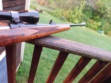 Winchester 670 243 (like model 70 but with blind mag and no detachable floor plate) As New Idea lst gun - 11 of 15