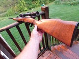 Winchester 670 243 (like model 70 but with blind mag and no detachable floor plate) As New Idea lst gun - 14 of 15