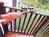 Winchester 670 243 (like model 70 but with blind mag and no detachable floor plate) As New Idea lst gun - 1 of 15