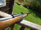 Winchester Model 70 XTR 270 1979 Stunning Beauty Ready for you'refall Deer, Moose or Elk hunt - 14 of 14