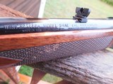 Winchester 94 AE 444 Woods Carbine Near New Super Handy Compact Carbine with Real Fire Power - 13 of 16