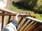 Ruger Vintage 77 RSI Mannlicher .308 1984 NEAR NEW CONDITION... - 3 of 13