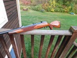 Colt Sauer Grand African Spectacular Stunning As New 458 Bargain Best One Available - 4 of 19